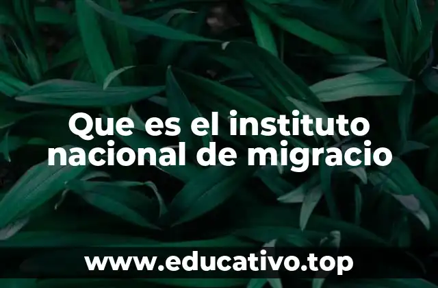 Que es el instituto nacional de migracio