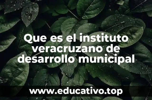 Que es el instituto veracruzano de desarrollo municipal