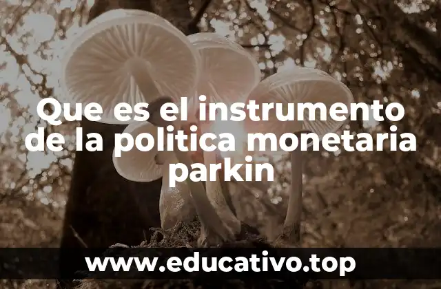 Que es el instrumento de la politica monetaria parkin