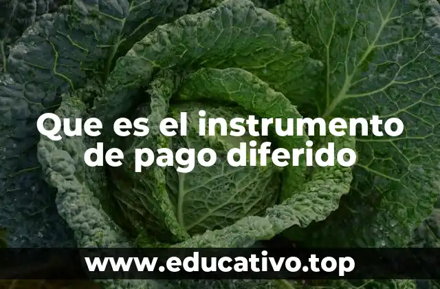 Que es el instrumento de pago diferido
