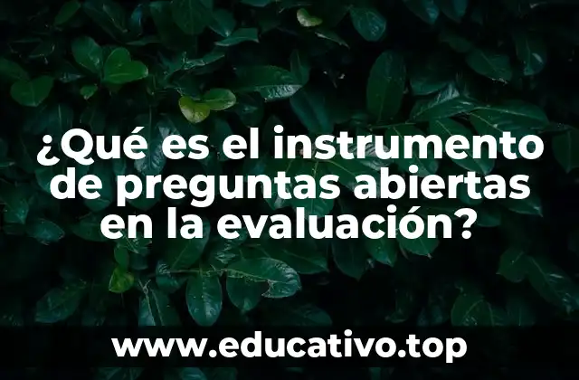 La importancia de las preguntas abiertas en la medición educativa