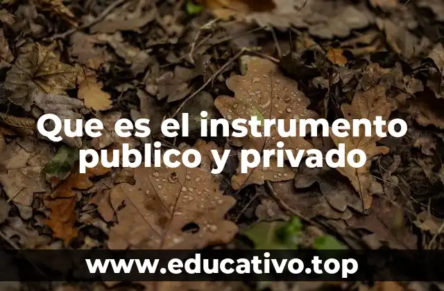 Que es el instrumento publico y privado