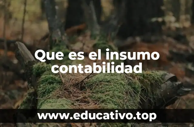 Que es el insumo contabilidad