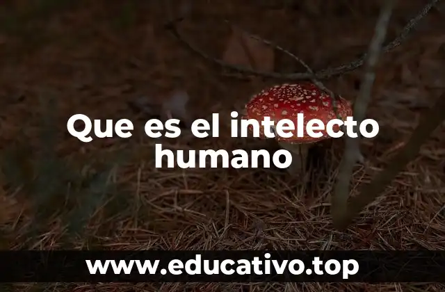Que es el intelecto humano