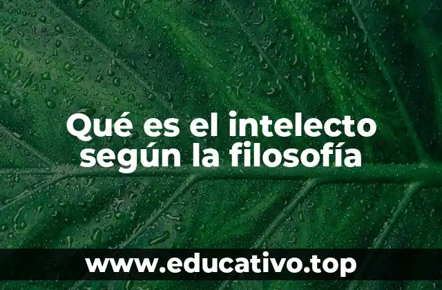 Qué es el intelecto según la filosofía