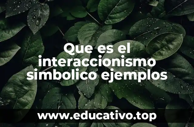 Que es el interaccionismo simbolico ejemplos