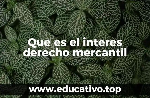 Que es el interes derecho mercantil
