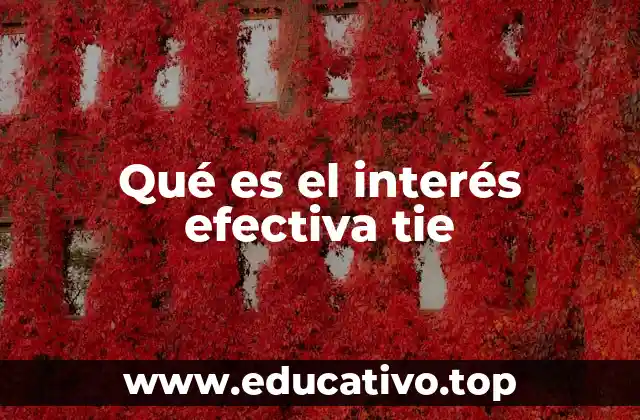 Qué es el interés efectiva tie