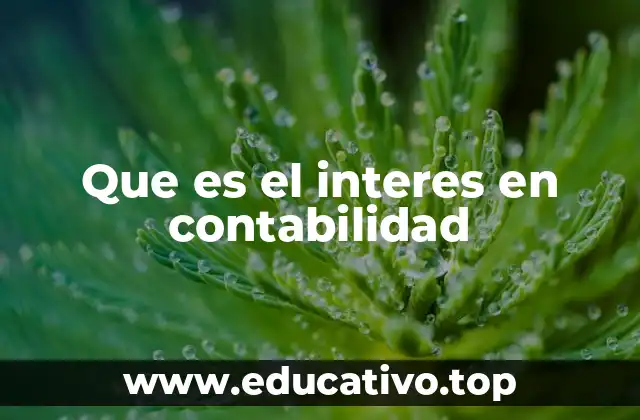Que es el interes en contabilidad