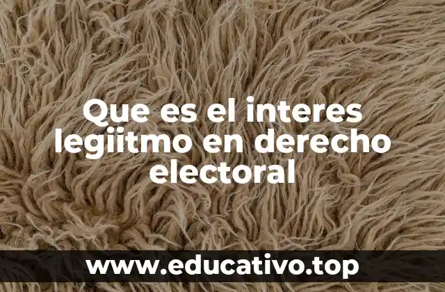 Que es el interes legiitmo en derecho electoral