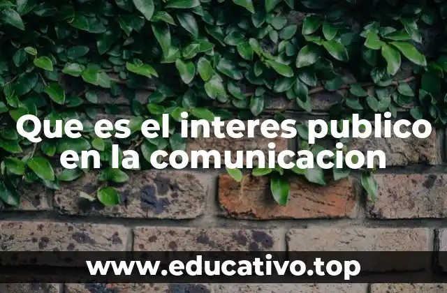 Que es el interes publico en la comunicacion