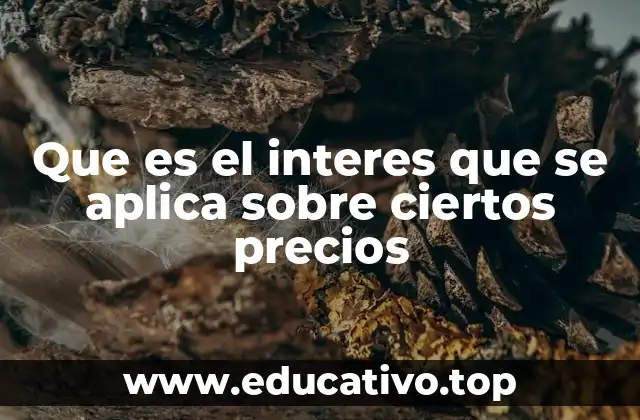 Que es el interes que se aplica sobre ciertos precios