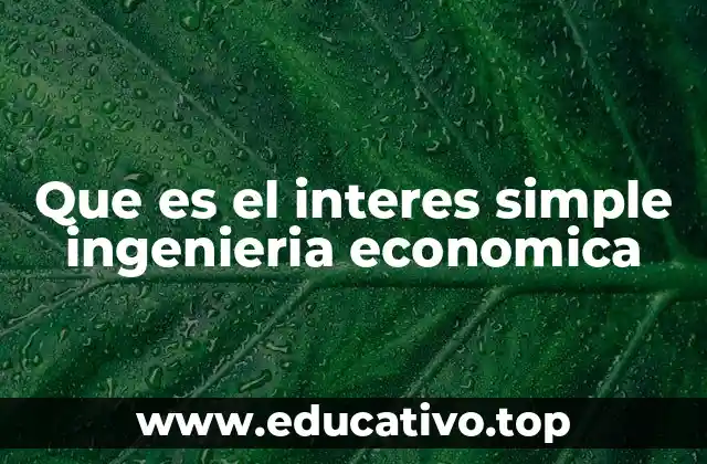 Que es el interes simple ingenieria economica