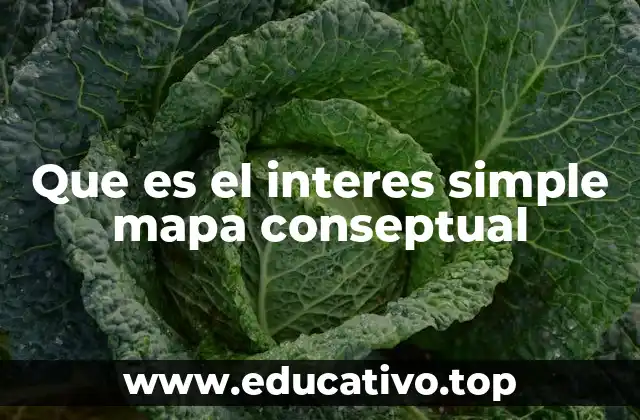 Que es el interes simple mapa conseptual