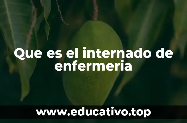 Que es el internado de enfermeria