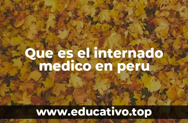 Que es el internado medico en peru