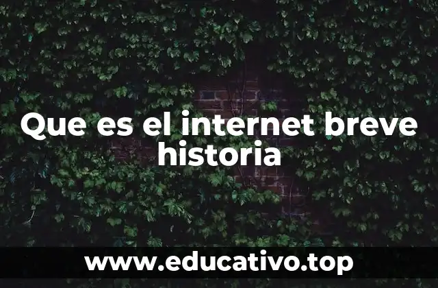 Que es el internet breve historia