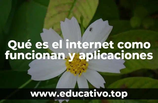 Qué es el internet como funcionan y aplicaciones