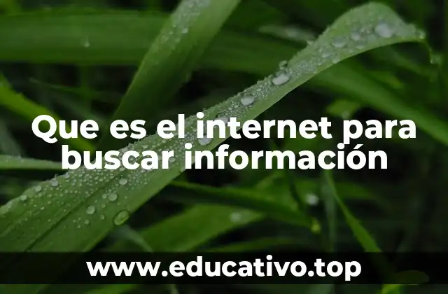 Que es el internet para buscar información