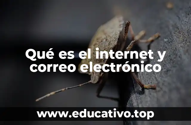 Qué es el internet y correo electrónico