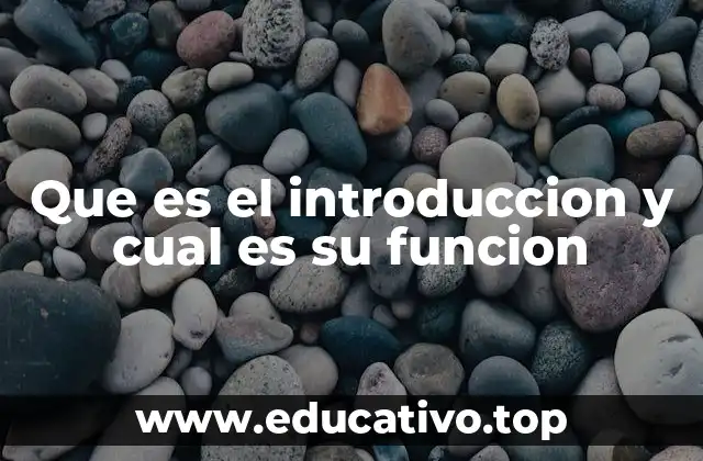 Que es el introduccion y cual es su funcion