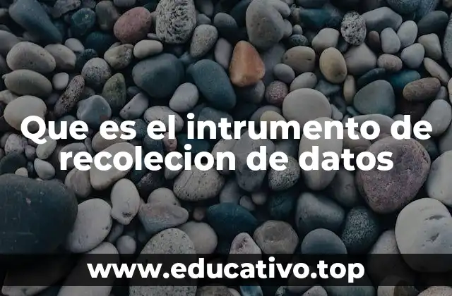 Que es el intrumento de recolecion de datos