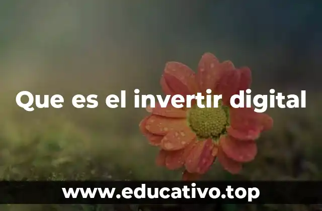 Que es el invertir digital
