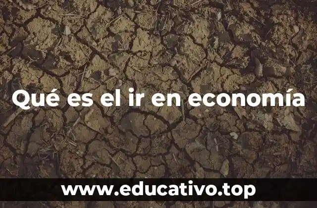 Qué es el ir en economía