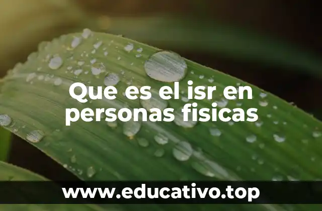 Impuestos aplicables a los ingresos de los individuos