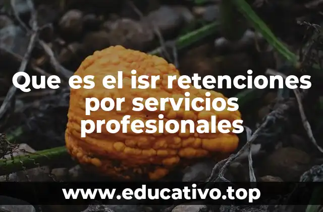 Que es el isr retenciones por servicios profesionales