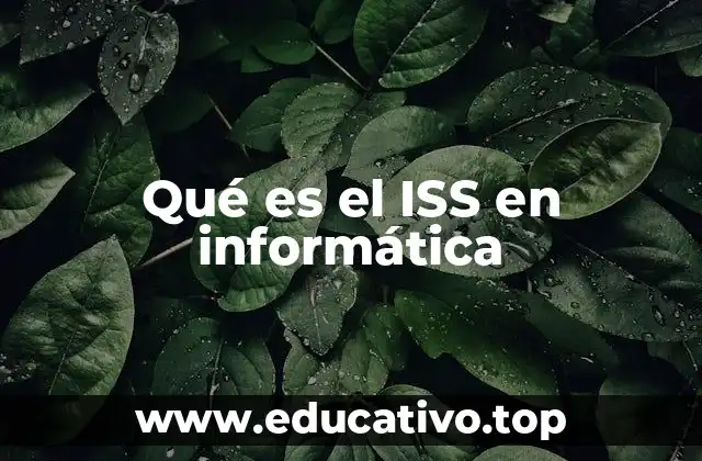 Qué es el ISS en informática