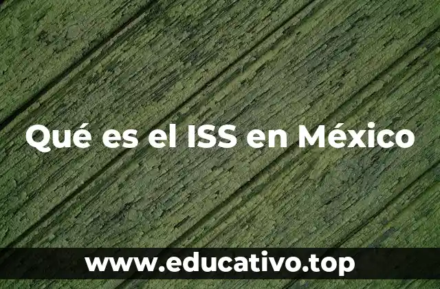 Qué es el ISS en México