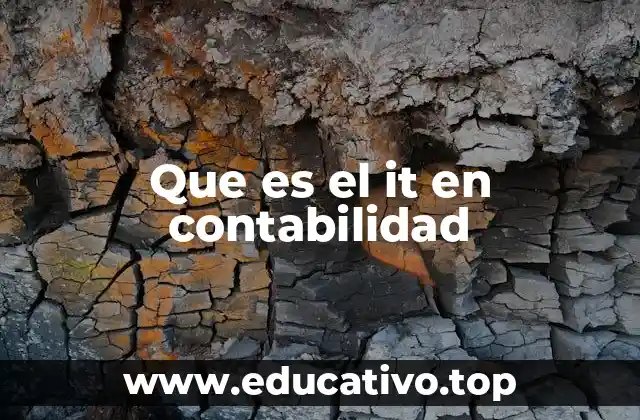 Que es el it en contabilidad