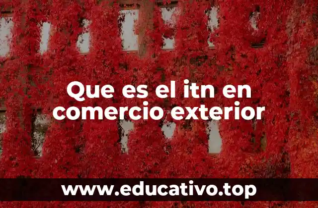 Que es el itn en comercio exterior