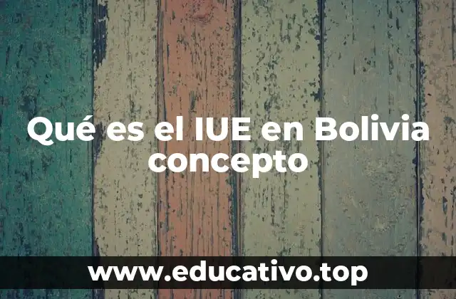 Qué es el IUE en Bolivia concepto