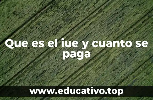 Que es el iue y cuanto se paga