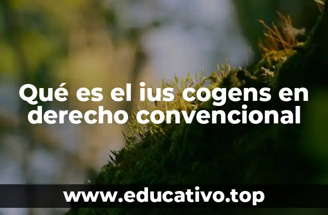 Qué es el ius cogens en derecho convencional