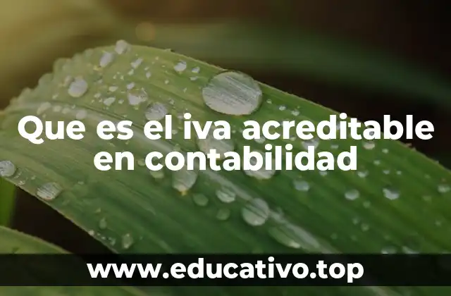 Que es el iva acreditable en contabilidad