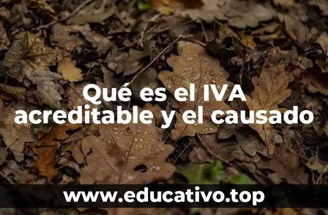 Qué es el IVA acreditable y el causado
