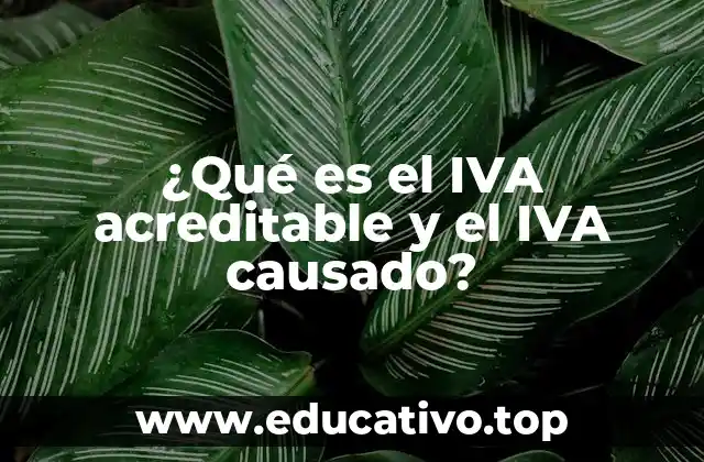 ¿Qué es el IVA acreditable y el IVA causado?
