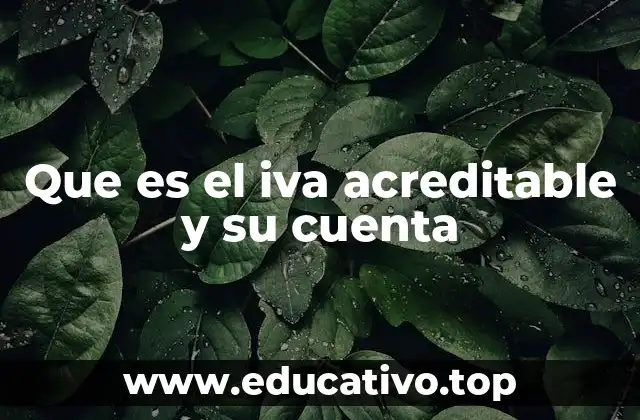 Que es el iva acreditable y su cuenta
