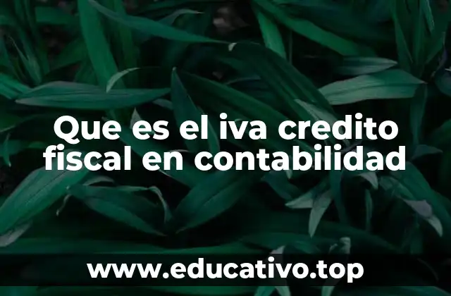 Que es el iva credito fiscal en contabilidad
