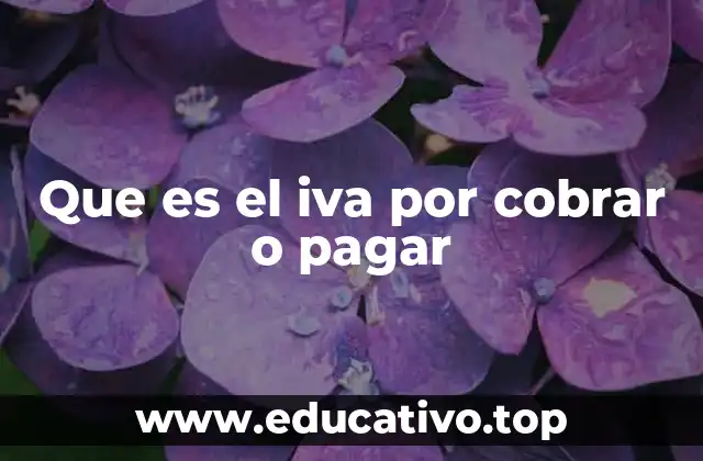 Que es el iva por cobrar o pagar
