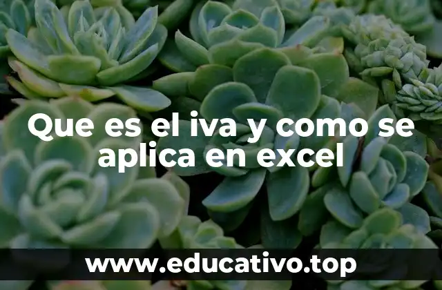 Que es el iva y como se aplica en excel