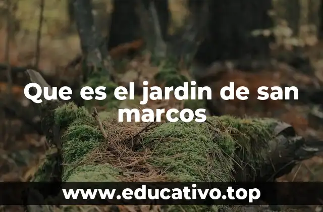 Que es el jardin de san marcos