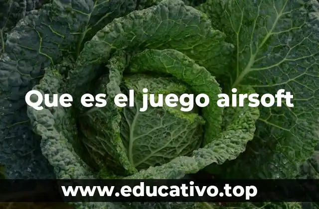 Que es el juego airsoft