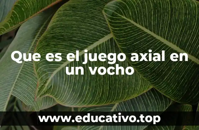 Que es el juego axial en un vocho