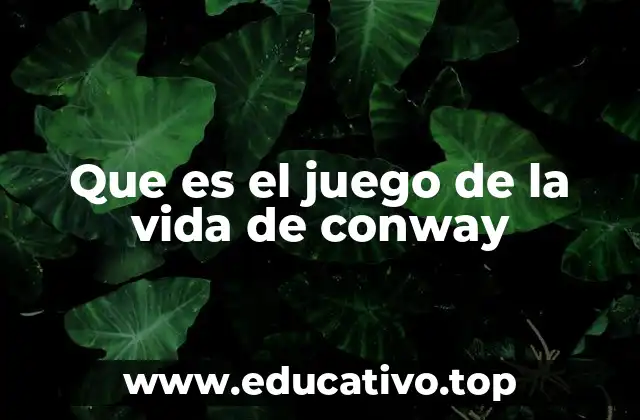 Que es el juego de la vida de conway