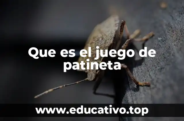 Que es el juego de patineta