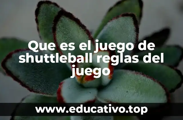 Que es el juego de shuttleball reglas del juego